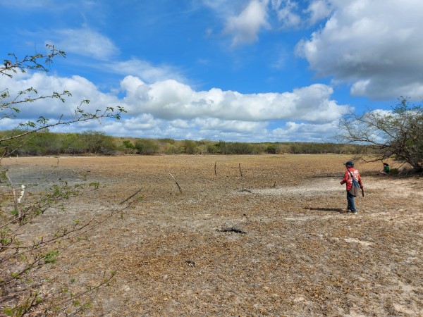 Paisagem das Águas: Território Indígena Mendonça